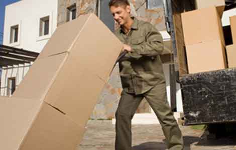 Loading And Unloading Service Agra